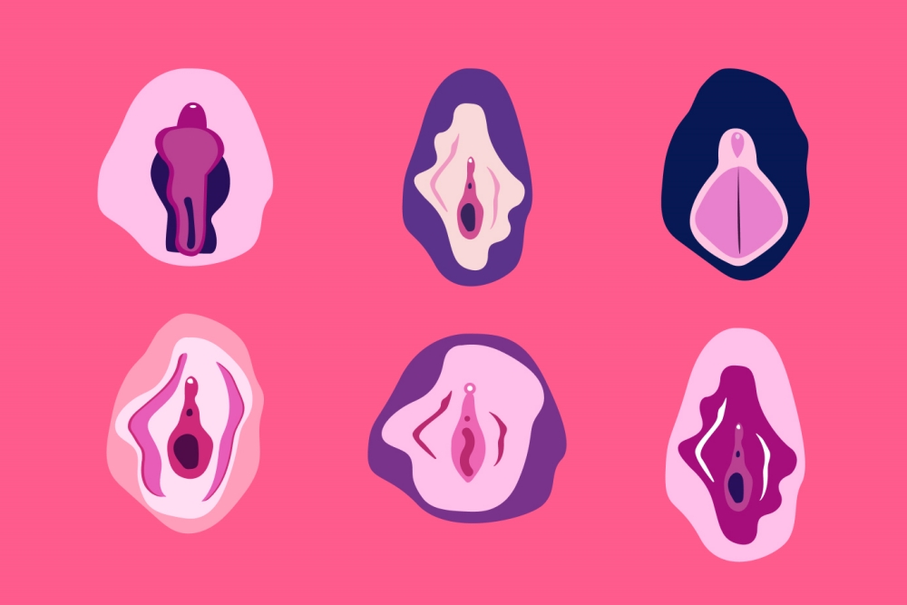 Celebrating Vaginal Diversity: Understanding the Beautiful Variations